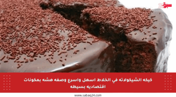 كيكة الشيكولاتة في الخلاط أسهل وأسرع وصفة هشة بمكونات اقتصادية بسيطة